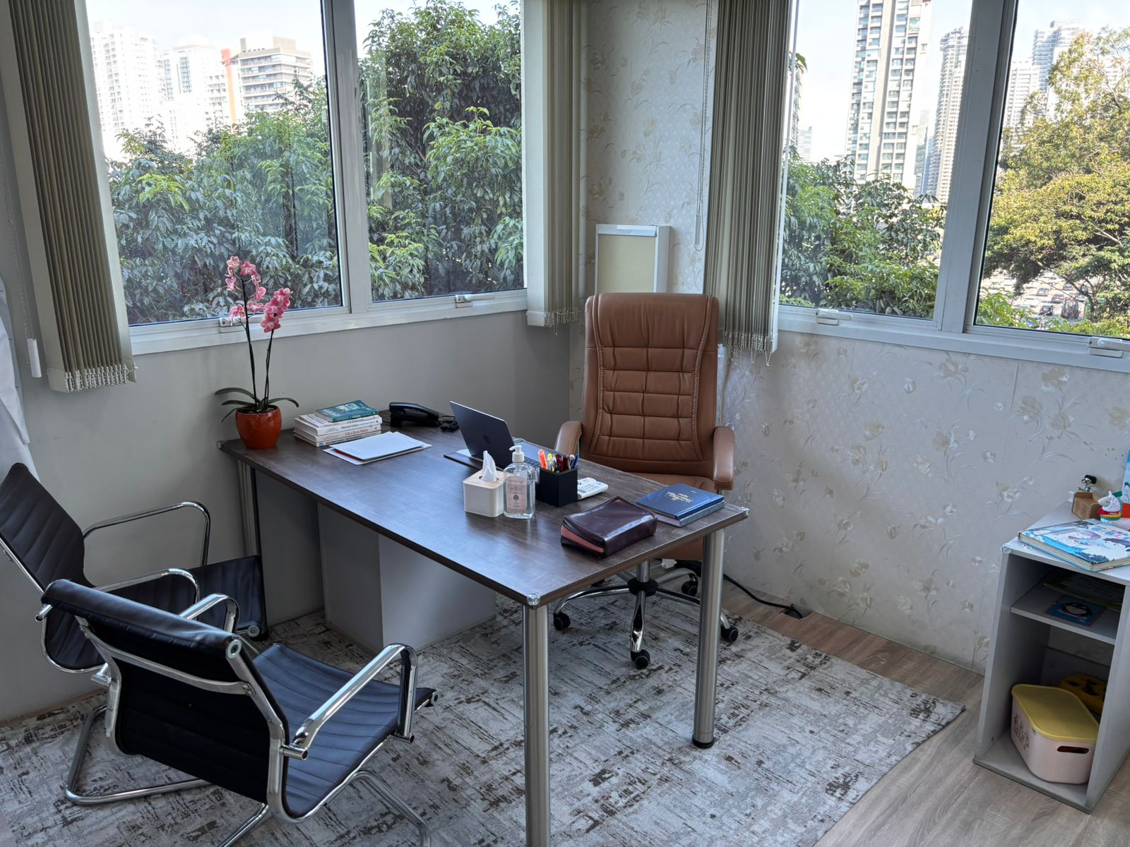 Consultório com vista para São Paulo